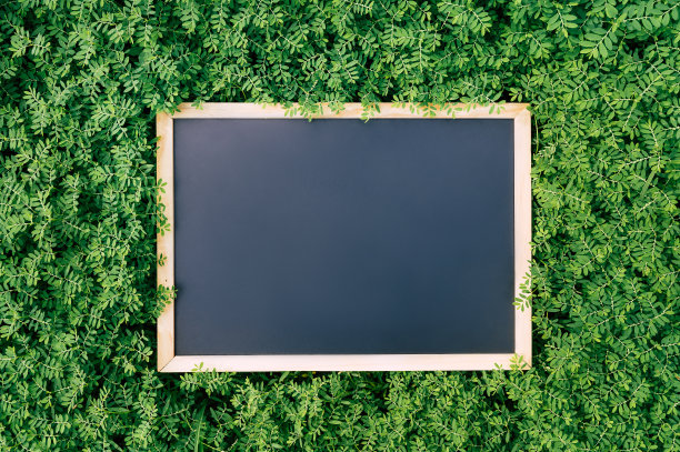 绿草地上的黑板图片下载