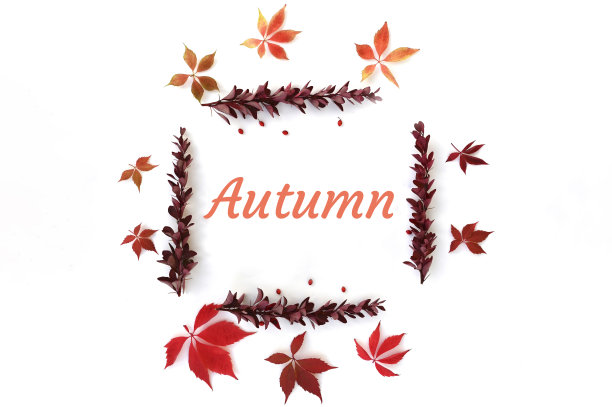 由秋天的树叶，浆果和题字组成的框架在中心。图片下载