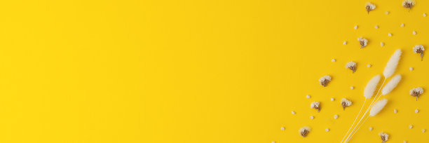 黄色上的花的化妆背景。平铺，复制空间图片下载