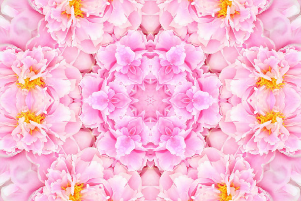 粉红玫瑰花模糊，花香春色图案背景图片下载