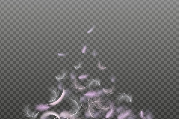 Set of flying realistic vector goose or chicken白色和粉红色羽毛的各种形状的枕头，毯子或夹克的生态羽毛填料。图片下载