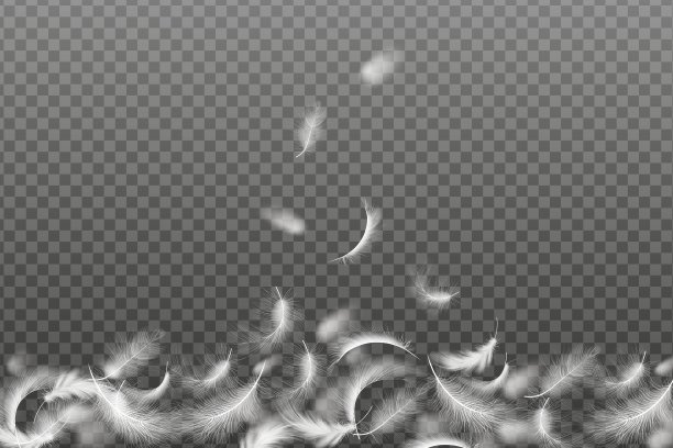 集飞行现实的矢量鹅或鸡白色羽毛的各种形状的生态羽毛填料枕头，毯子或夹克。图片下载