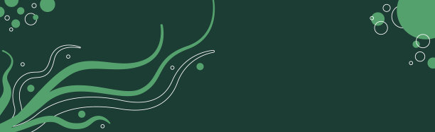 摘要绿色全景背景与图片下载