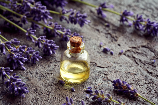 一瓶含新鲜薰衣草花的香薰精油图片下载