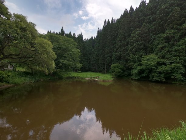 龟田农场的池塘图片下载