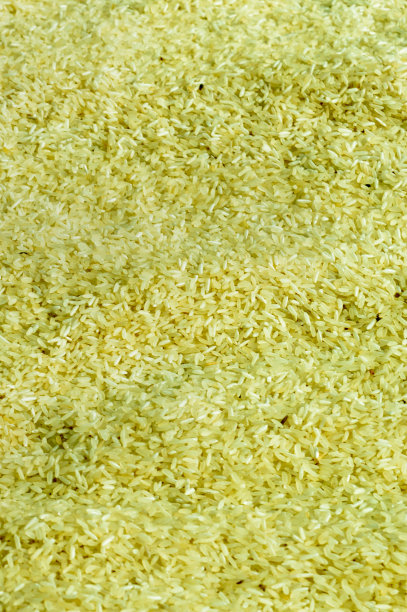 米粒在阳光下的全帧拍摄。食品的背景。图片下载