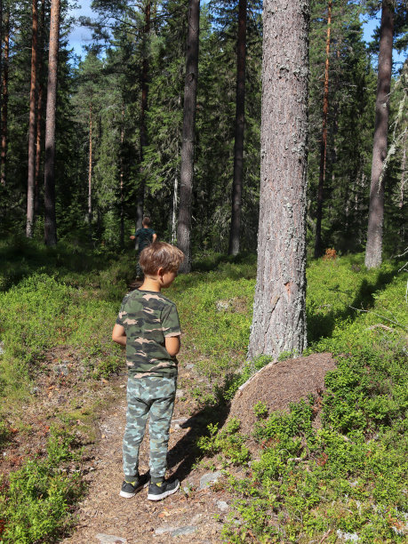 男孩站在森林里的蚁冢旁图片下载