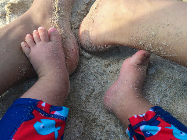 海滩的生活图片下载