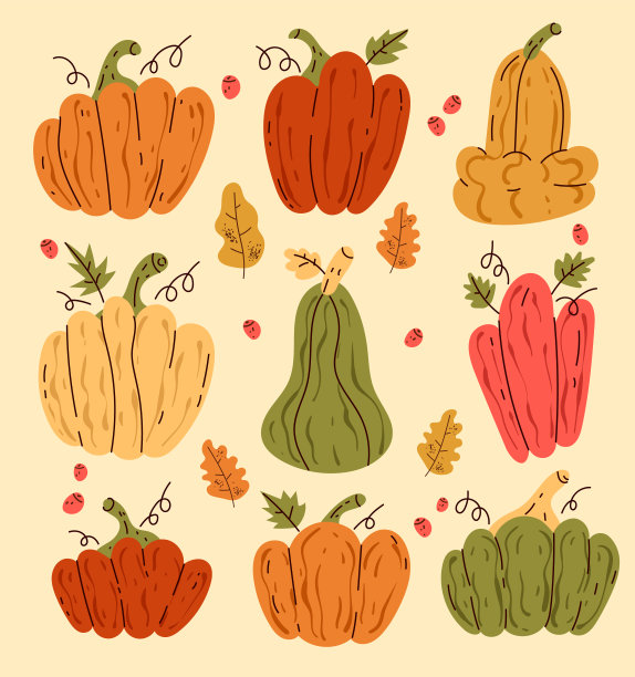 手绘素描线艺术南瓜孤立集图片下载