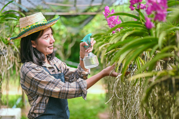园丁们给花园里的花树喷洒杀虫剂。图片下载