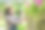 园丁们给花园里的花树喷洒杀虫剂。图片下载