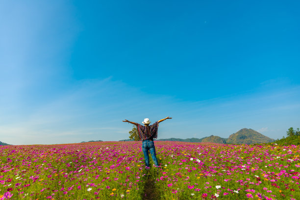 亚洲女游客在美丽盛开的宇宙花园中放松和自由。旅行和生活方式概念。图片下载