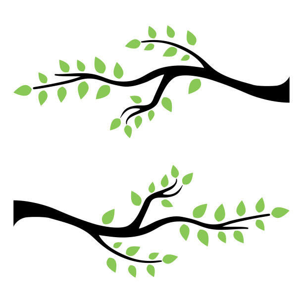 树枝插图设计图片下载