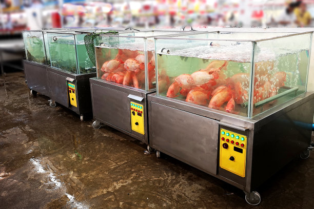 超市里的鱼缸图片下载