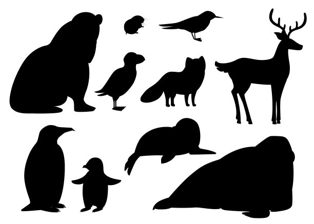 黑色剪影设置北极动物图标鸟类图片下载