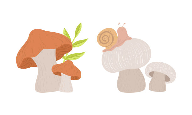 野生林食用蘑菇集动画片图片下载