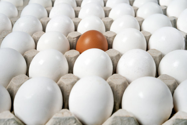 一群新鲜的鸡蛋，背景。棕色的鸡蛋和其他的白鸡蛋。图片下载