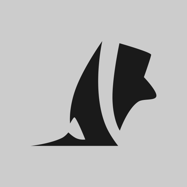 灰色背景下的跑鞋图片下载