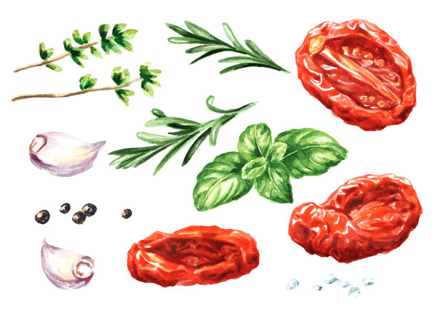 番茄干配香草及香料。手绘水彩插图孤立在白色的背景图片下载
