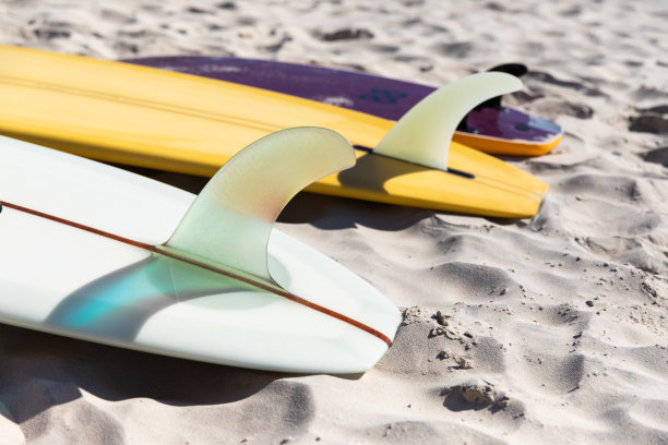 在沙滩上排列一排冲浪板图片下载