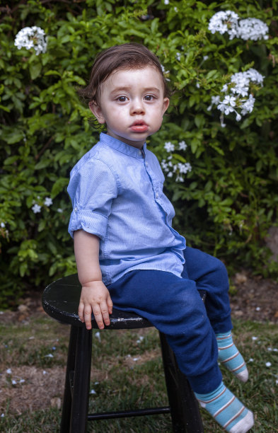 一个蹒跚学步的男孩，棕色的卷发，棕色的大眼睛，穿着蓝色衬衫和牛仔裤，坐在绿色灌木丛前的黑色凳子上图片下载