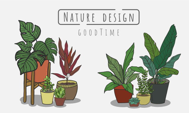 将绿色植物置于花盆中图片下载