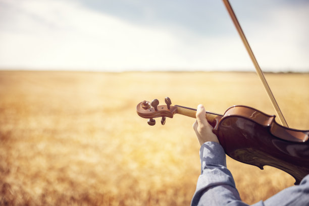 音乐家在夏日的户外演奏小提琴图片下载