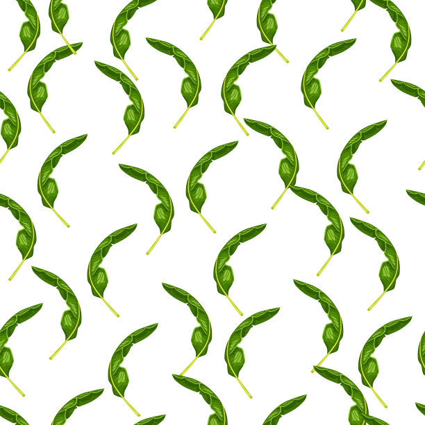 自然无缝的图案搭配绿色随意的热带小棕榈树点缀。孤立的背景。图片下载