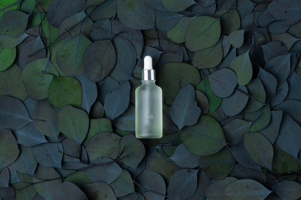 化妆品瓶与桉树自然背景。平铺，复制空间图片下载