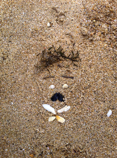 画在沙滩上的一张脸图片下载