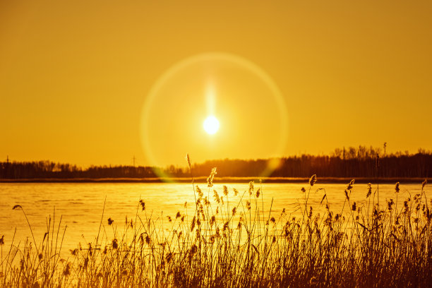 橙色的天空上闪耀着美丽的冬日太阳。自然背景与雪湖，野生潘帕斯草与阳光。图片下载