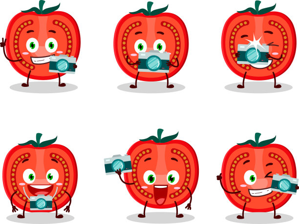 摄影师专业用西红柿切片图片下载