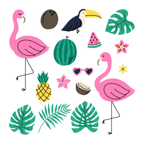 在主题热带设置简单的元素图片下载