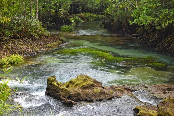 洪宋南瀑布是泰国甲米省的一个小瀑布。图片下载