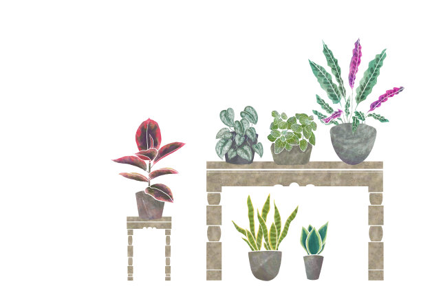 室内植物水彩Inria绿色室内设置图片下载