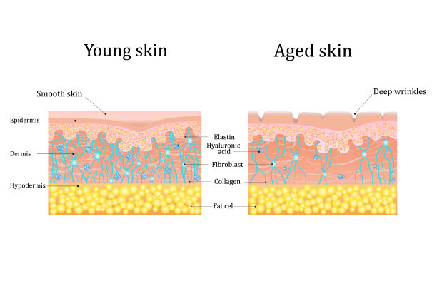 年龄相关的变化图片下载