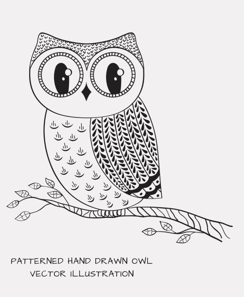 手绘猫头鹰图片下载