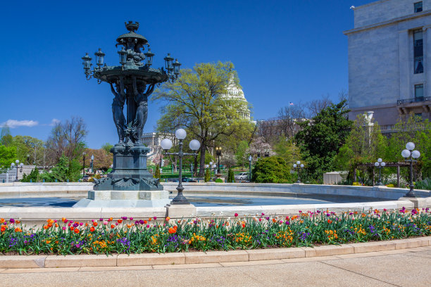 蓝天白云的国会山喷泉，华盛顿特区，美国。图片下载