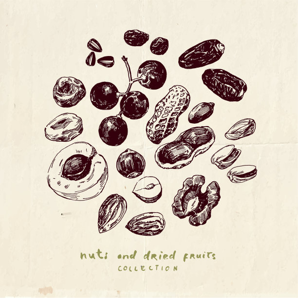 坚果、种子和干果图片下载