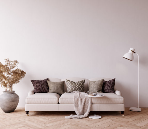 现代模拟室内与空的白色墙壁背景和干燥的植物装饰图片下载