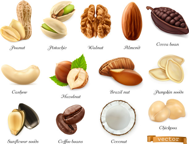 坚果种子和豆类三维现实的对象设置图片下载