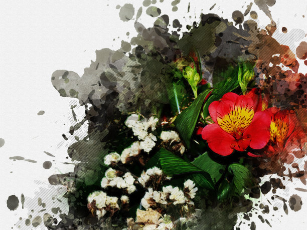 一束红色和白色的花，有大的绿色叶子。意图片下载