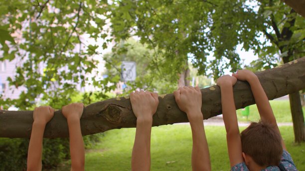 手悬树枝公园积极玩群悬长时间比赛图片下载