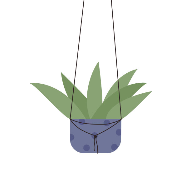 室内植物芦荟挂锅，家庭阳台或办公室室内自然花园装饰图片下载