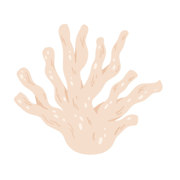 粉红色珊瑚礁，热带水下海洋或海洋生物，珊瑚来自海底图片下载