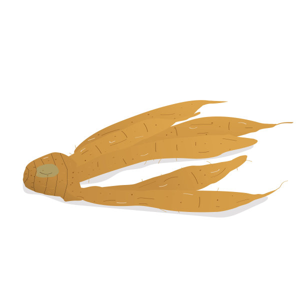 插图指根泰国香料图片下载