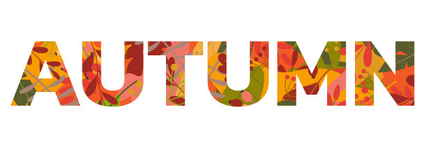 秋天的文字带着秋天的落叶。用色彩丰富的树叶给字体调味。矢量插图。图片下载