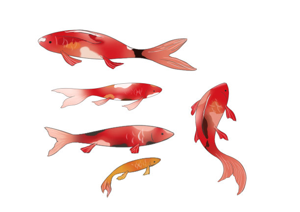 中国风动物鲤鱼锦鲤卡通插画图片下载