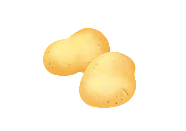 小清新写实卡通成熟新鲜的土豆插画图片下载
