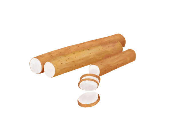 小清新写实卡通新鲜的山药和山药切片插画图片下载